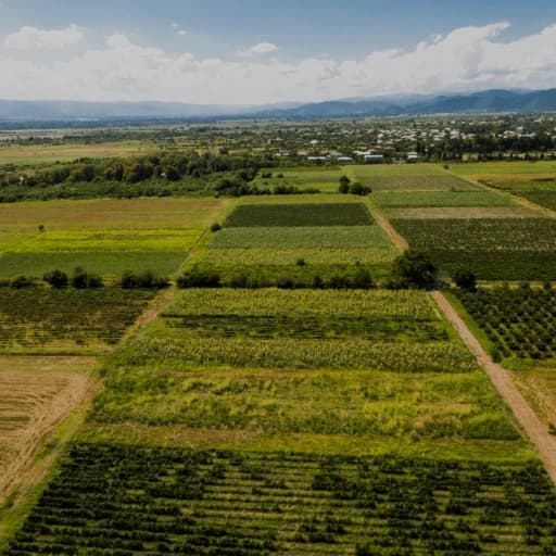 Agriculture